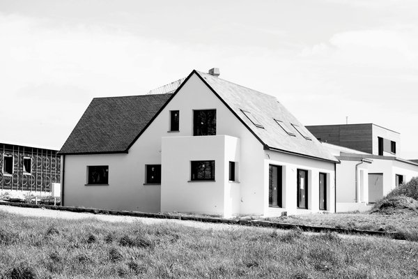 Top Natural Solutions to Combat Rose Black Spot in Humid UK Climates